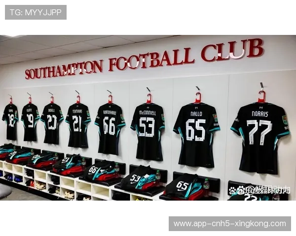 意甲青训投入为俱乐部未来稳定竞争力奠定基础 意甲青训投入为俱乐部未来稳定竞争力奠定基础