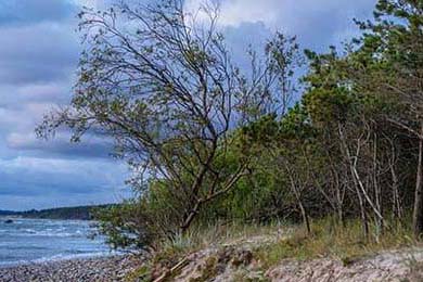 Aster新版本适应快速，aster设置教程