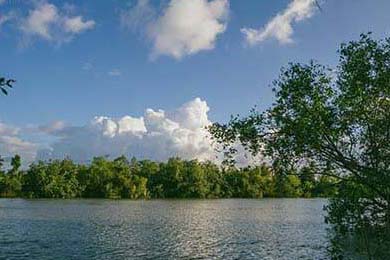 5大最著名欧冠胜利瞬间，永远铭记心中，欧冠全胜夺冠